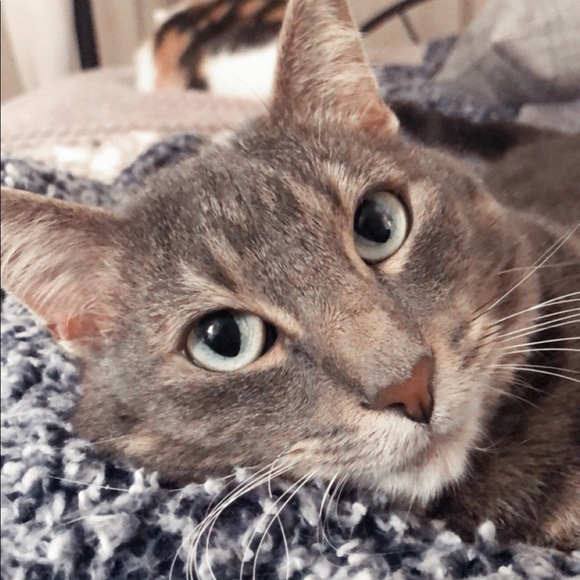 β’ meet the assistants β’ - Picture 12 of 15